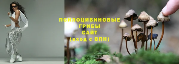 эйфоретик Горняк