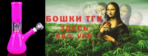 эйфоретик Горняк